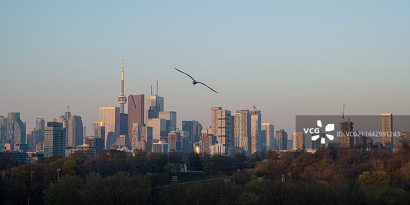 多伦多日出图片素材
