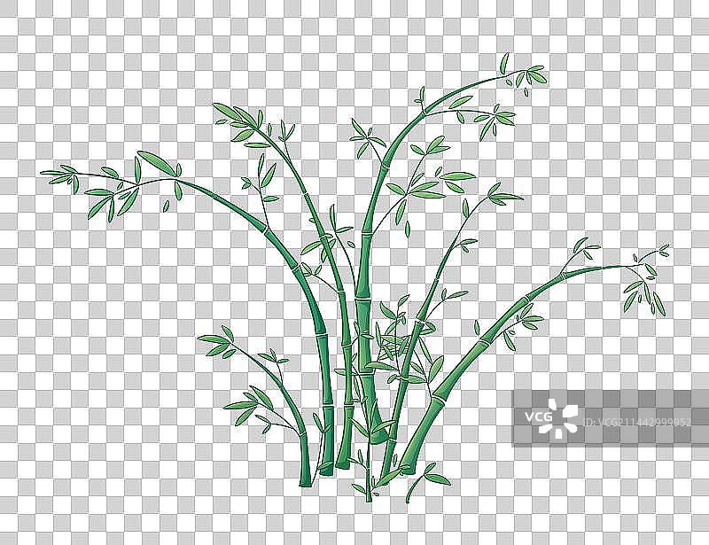 竹子植物群图片素材
