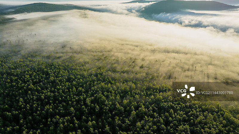 清晨大兴安岭原始森林阳光云海如梦似幻图片素材