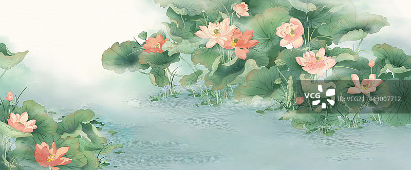 接天莲叶无穷碧，映日荷花别样红图片素材