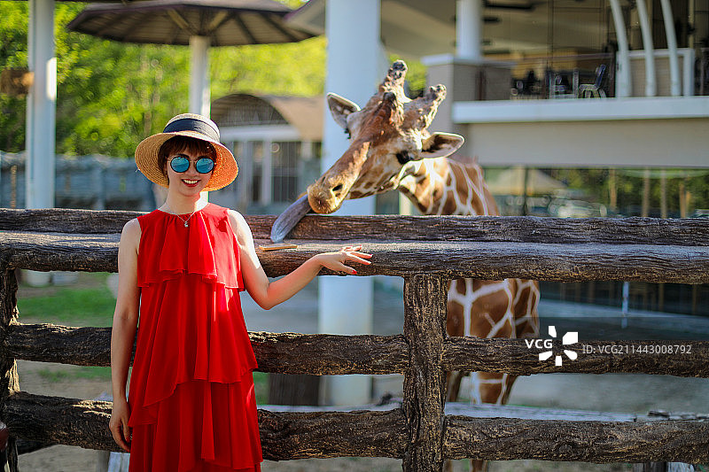 站在栏杆旁的女人和长颈鹿图片素材