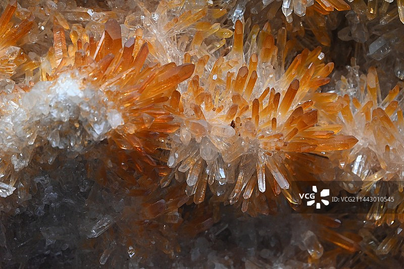 成都自然博物馆图片素材