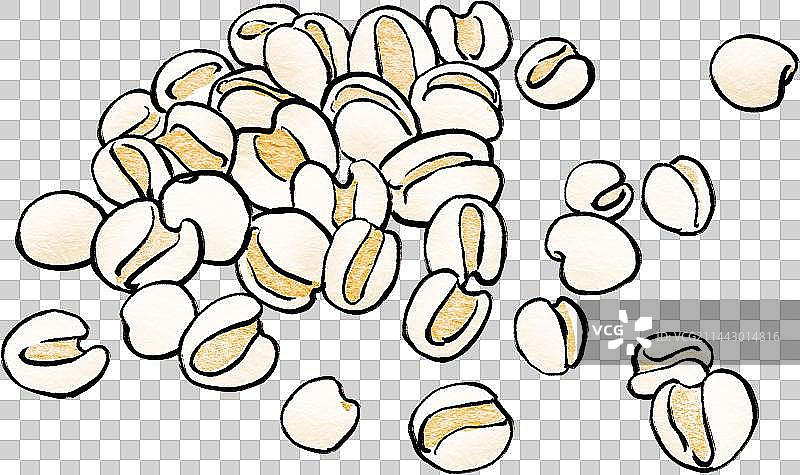 薏苡仁中药元素图片素材