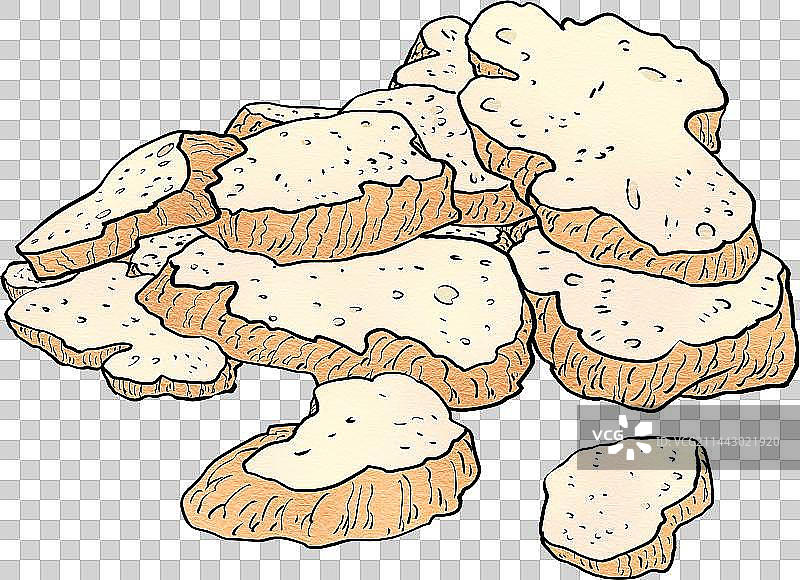 中医中药白术植物切片元素图片素材