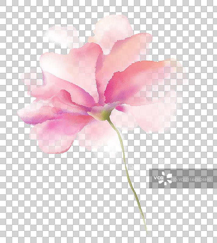 水彩唯美浪漫粉色水彩晕染渐变一朵花朵图片素材