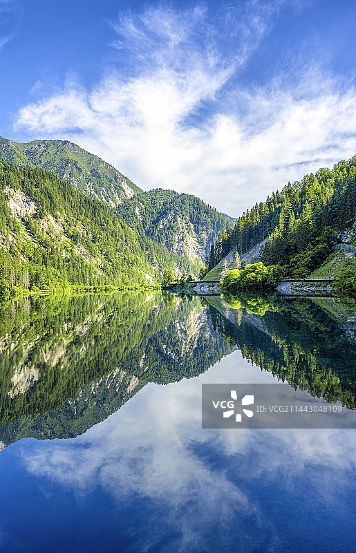 四川九寨沟箭竹海图片素材