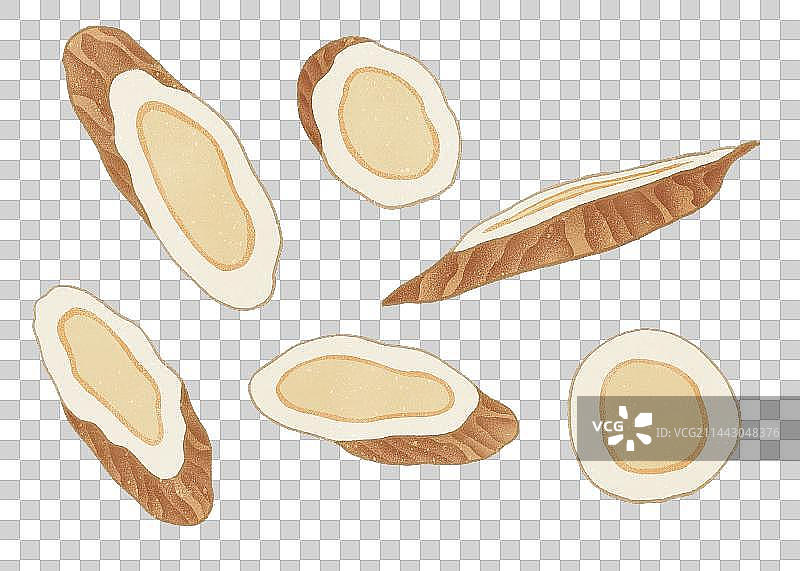 中药黄芪元素图片素材