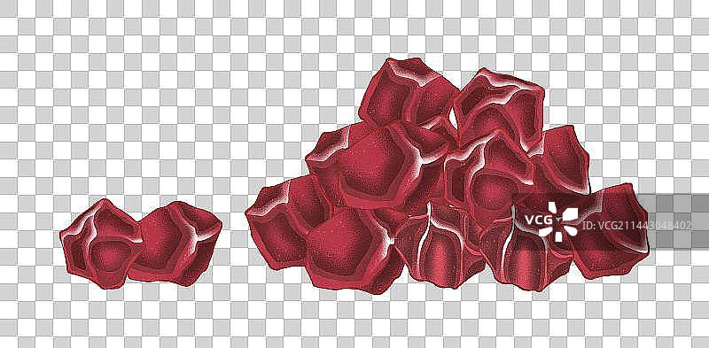 中药五味子元素图片素材