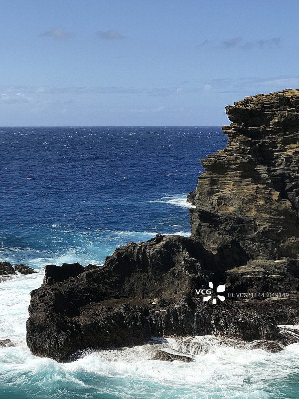 Koko火山口植物园一带风景图片素材