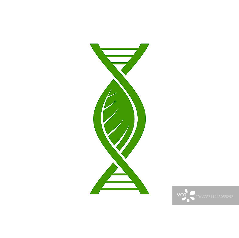 植物DNA图标叶片和绿色基因螺旋链图片素材