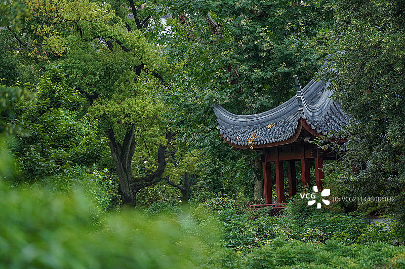 上海植物园图片素材