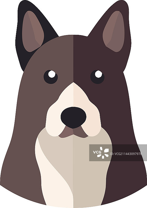 可爱的梗犬幼犬，永远忠实的朋友图片素材