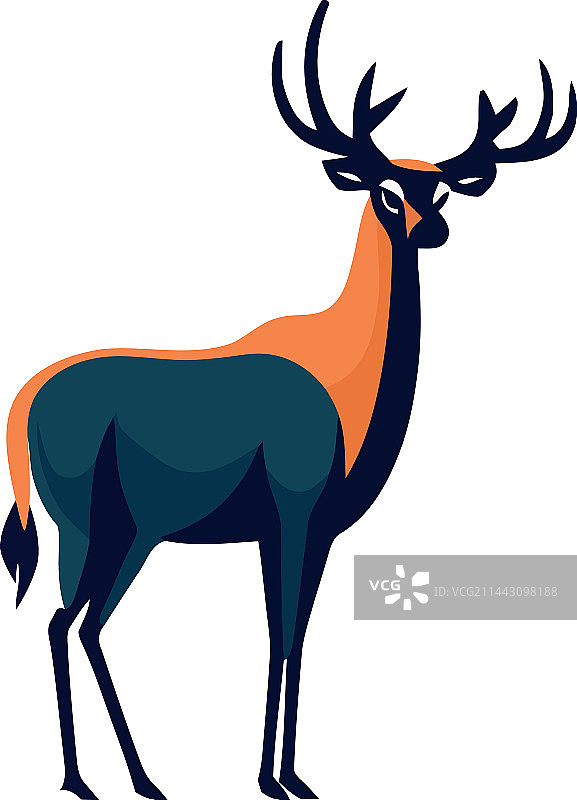 站立的可爱野生动物小鹿图片素材