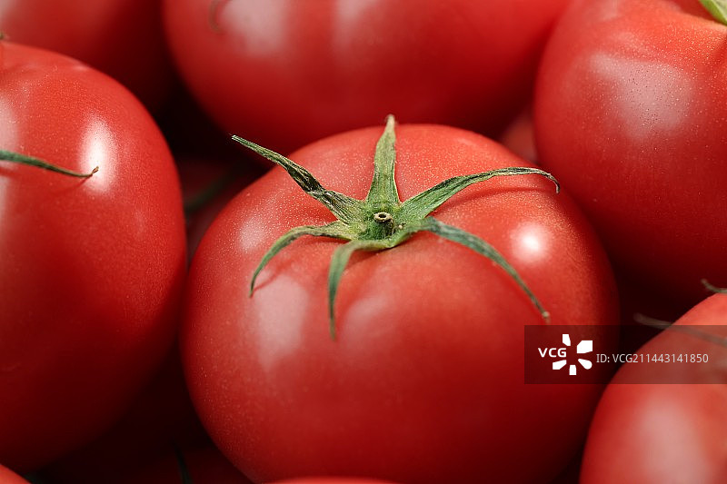 番茄图片素材