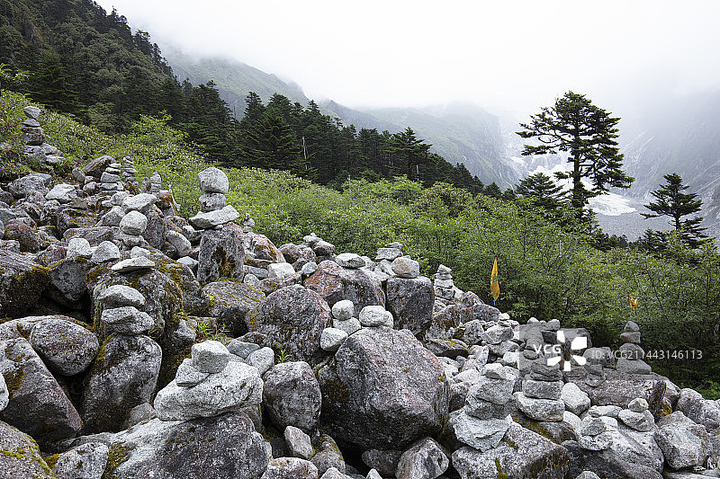 四川 甘孜州 海螺沟冰川森林公园图片素材