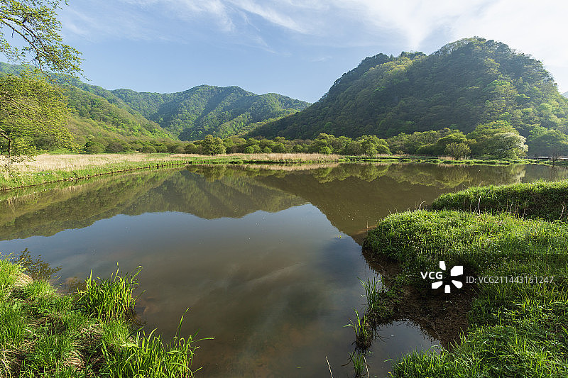 神农架大九湖国家湿地公园静谧  秀美   原始   植被完好图片素材