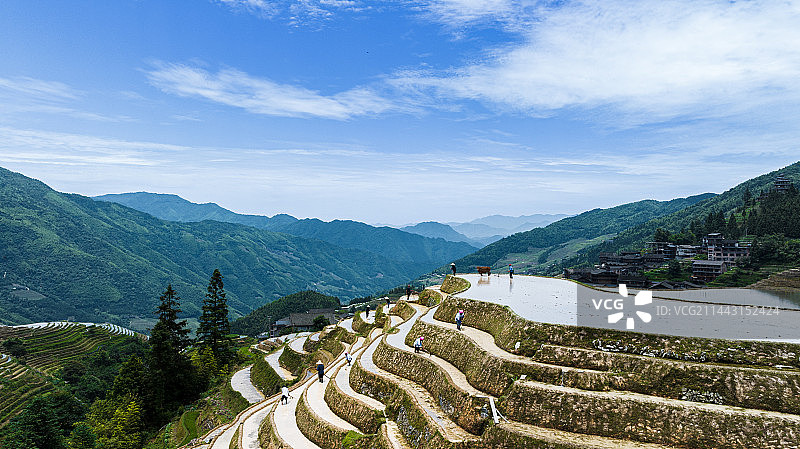 桂林龙胜梯田上用牛耕田的少数民族村民图片素材