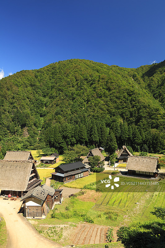 日本富山县五箇山菅沼合掌造村图片素材