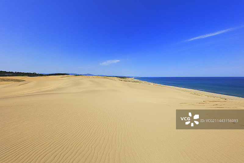 鸟取沙丘与日本海图片素材