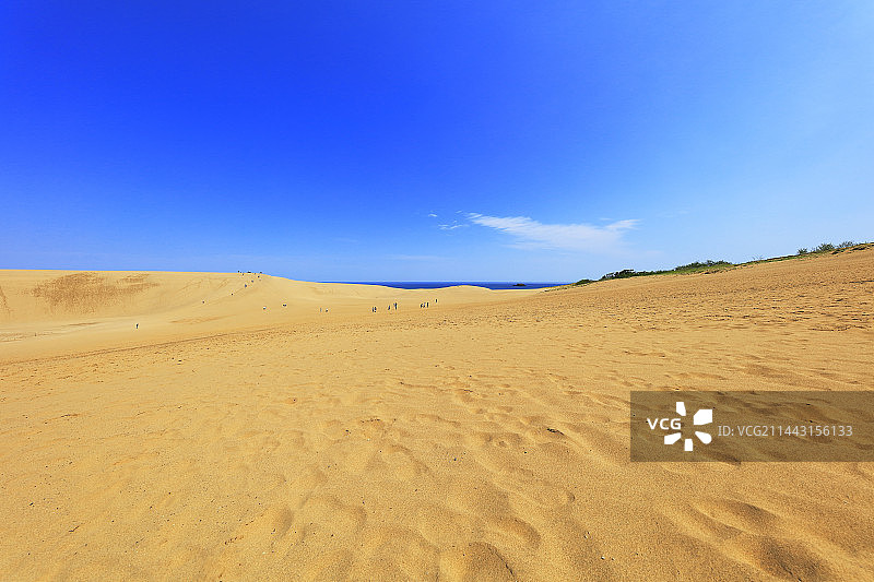 鸟取沙丘与日本海图片素材