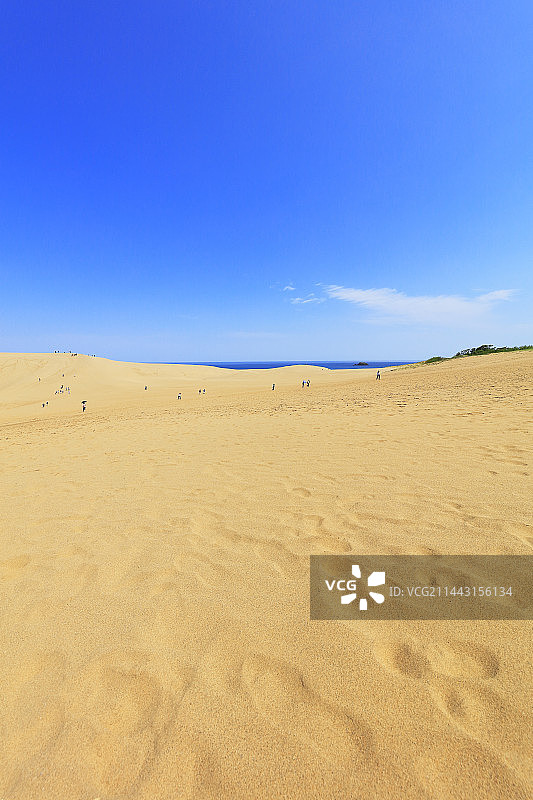 鸟取沙丘与日本海图片素材