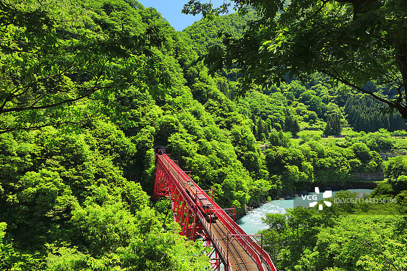 新鲜绿色黑部峡谷铁道车和清澈的溪流图片素材