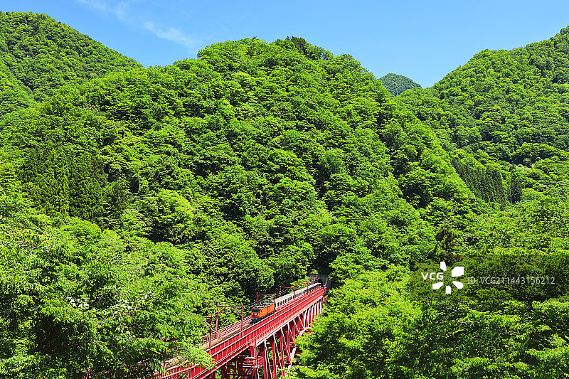 黑部峡谷铁道小火车，新绿时节图片素材