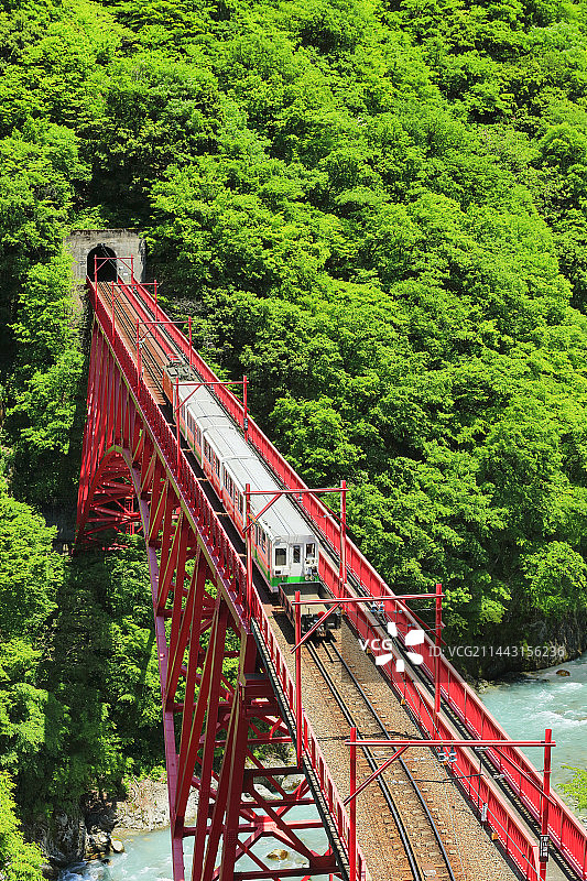 黑部峡谷铁道小火车，新绿时节图片素材