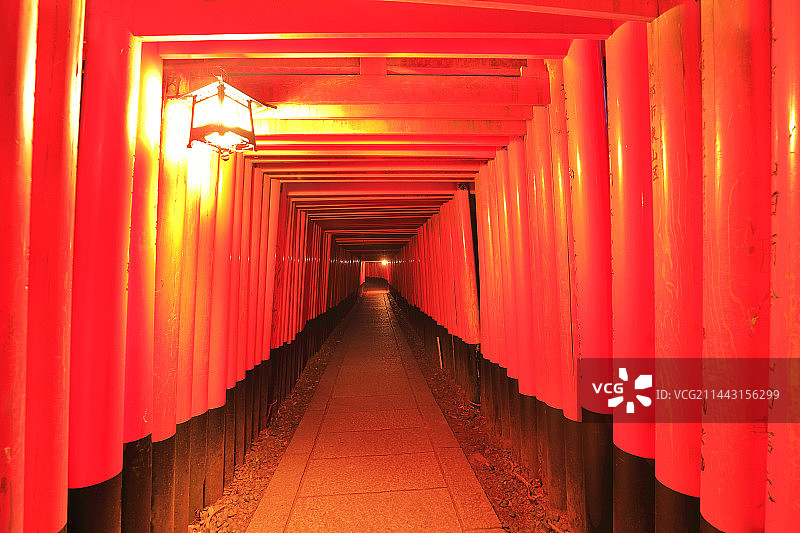 伏见稻荷大社千本鸟居（日本京都府京都市）图片素材