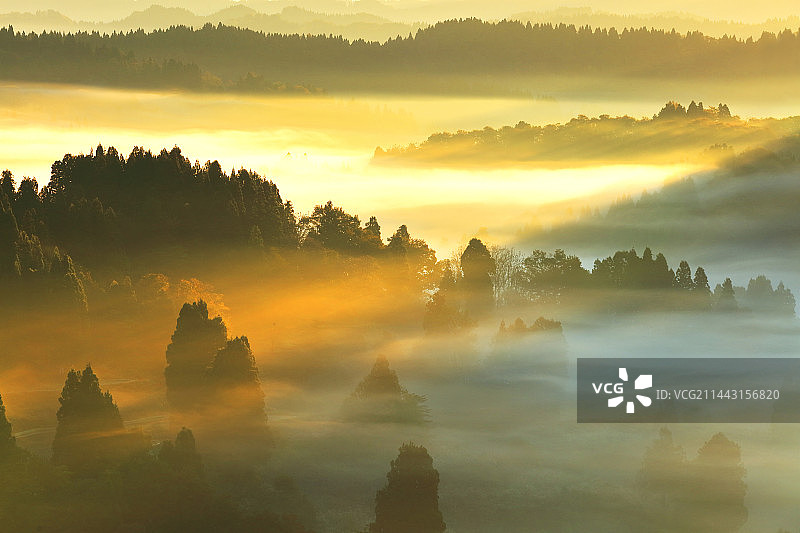 日本新潟县十日町星峠梯田和云海图片素材