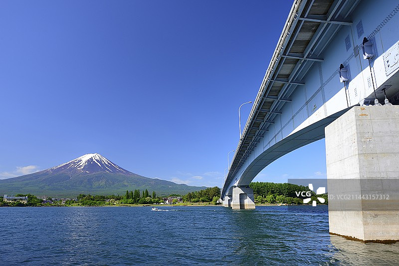 河口湖大桥与初夏富士山图片素材