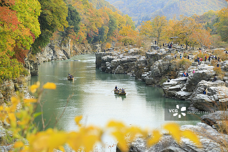 日本埼玉县秩父郡长瀞岩叠的秋色图片素材