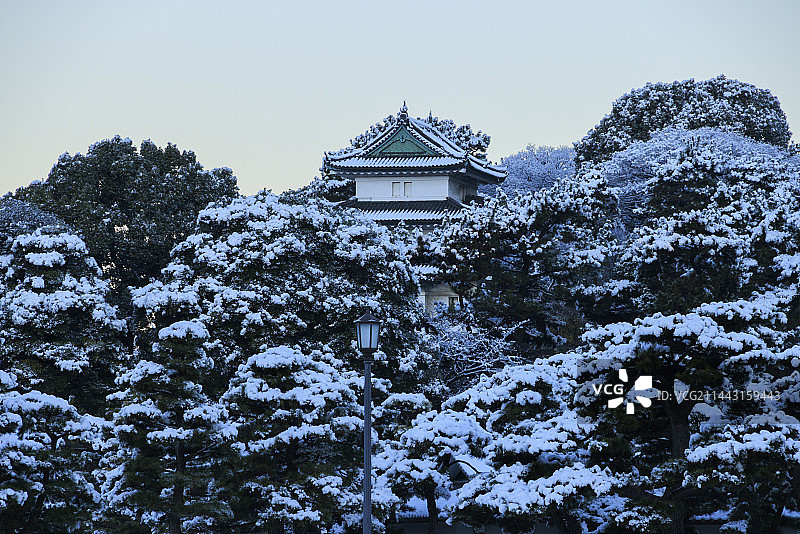 日本东京千代田区江户城雪景图片素材