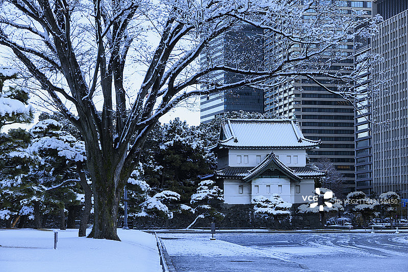 日本东京千代田区江户城雪景图片素材