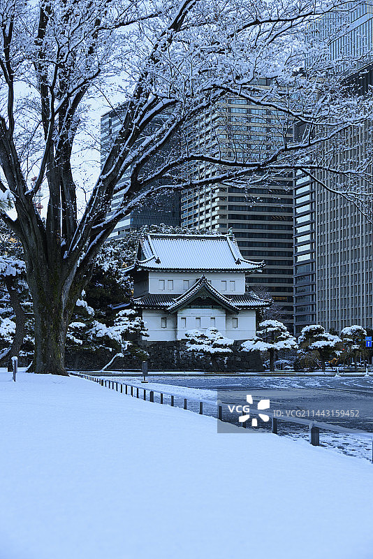日本东京千代田区江户城雪景图片素材