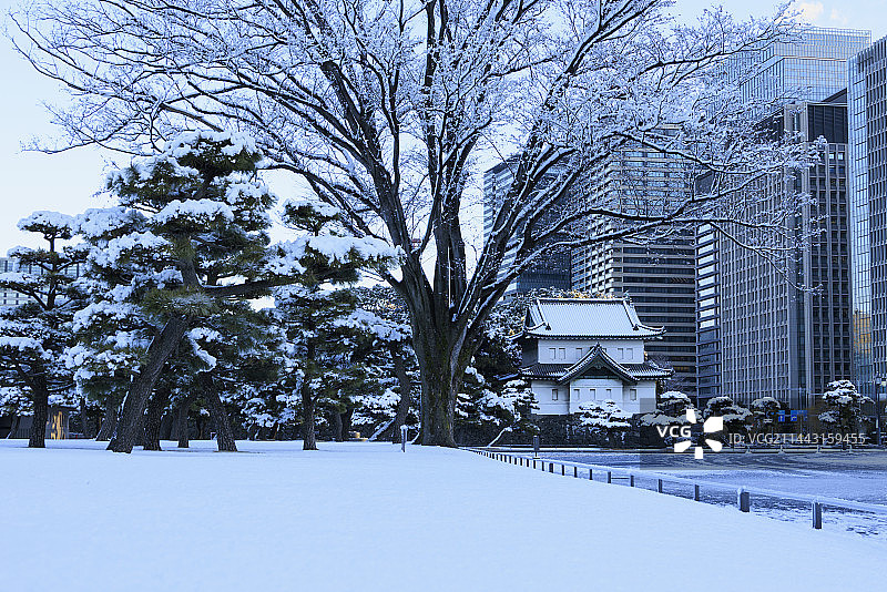 日本东京千代田区江户城雪景图片素材