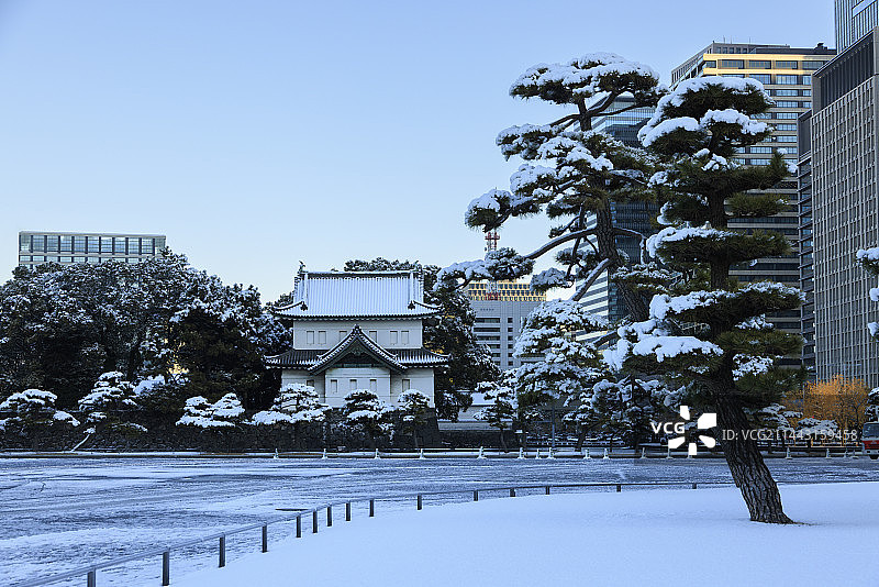 日本东京千代田区江户城雪景图片素材