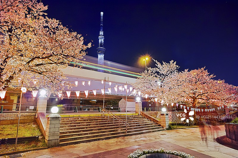日本东京隅田公园和东京晴空塔夜景樱花图片素材