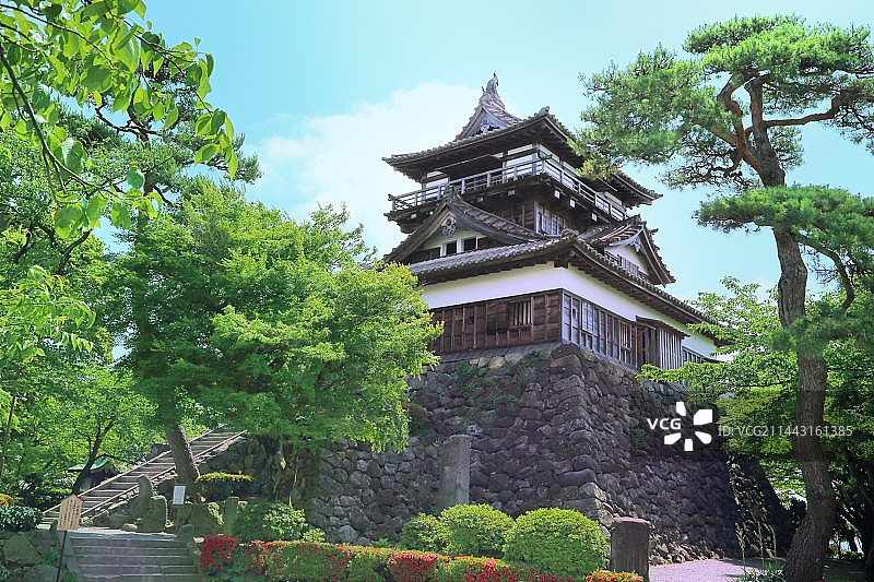 日本福井县坂井市丸冈城的清新绿意图片素材