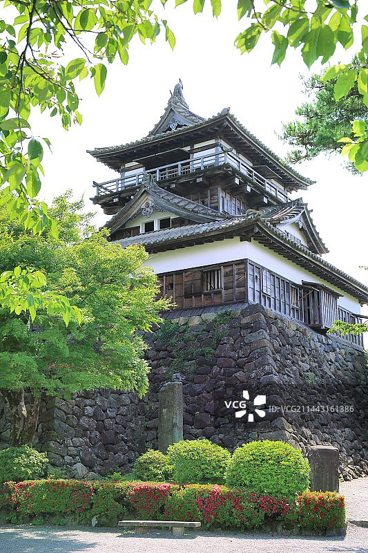 日本福井县坂井市丸冈城的清新绿意图片素材