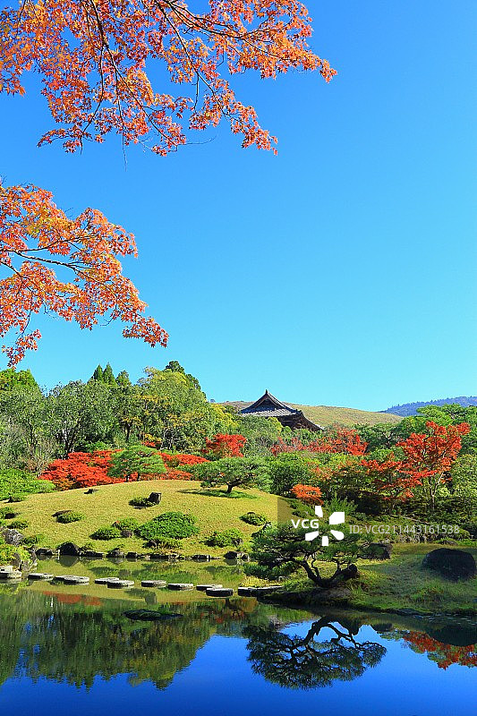 依水园秋叶图片素材