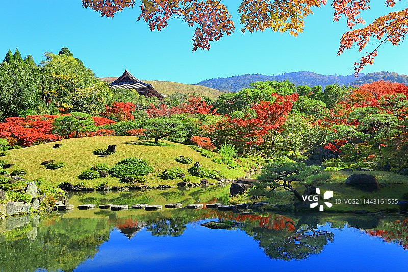 依水园秋叶图片素材