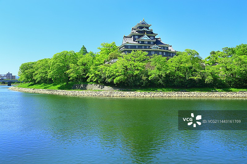 日本冈山县冈山市的冈山城和旭川河的新绿图片素材