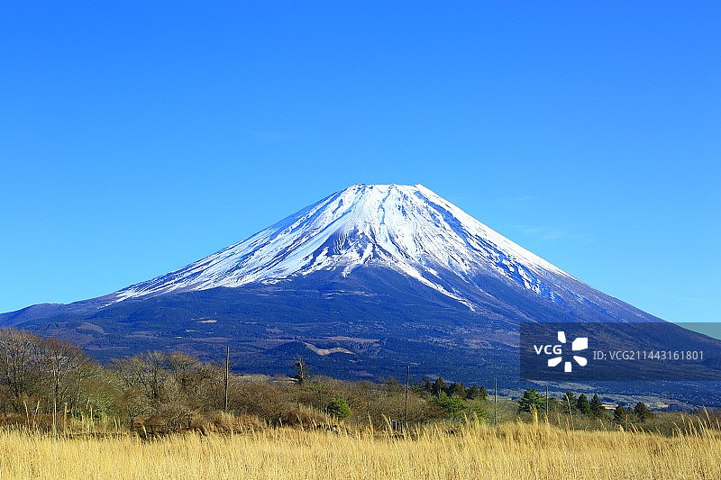 从朝雾高原眺望富士山，日本静冈县富士宫市图片素材