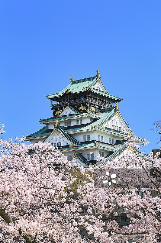 大阪城与樱花图片素材