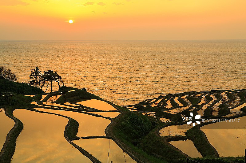 日本石川县轮岛市白米千枚田的夕阳图片素材