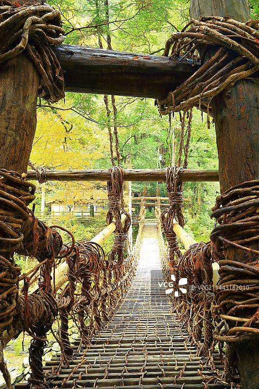 日本德岛县三好市的葛笼桥与秋叶图片素材