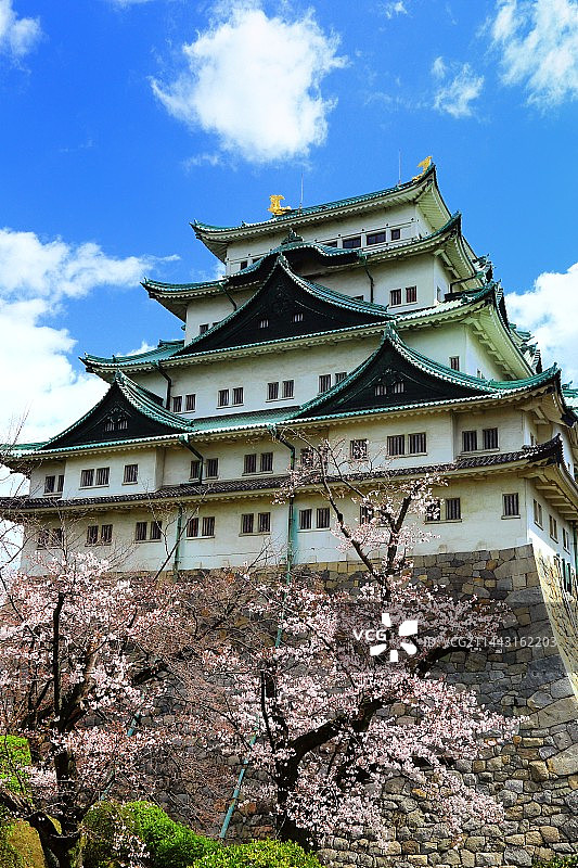 名古屋城与樱花，爱知县名古屋图片素材