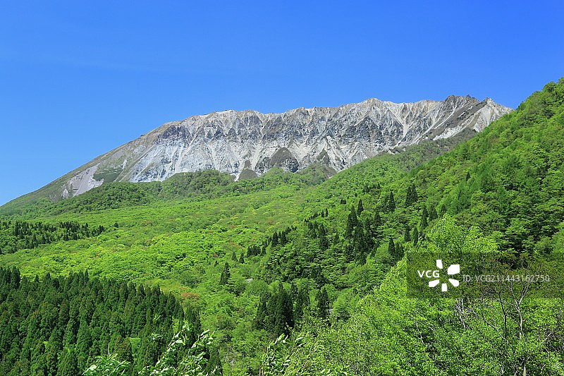 日本鸟取县日野郡大山清新绿意景色图片素材