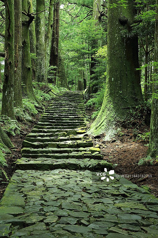 熊野古道大门坂，日本和歌山县图片素材